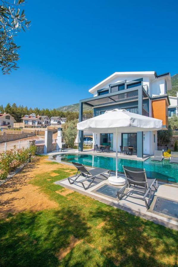 Efe Villa *