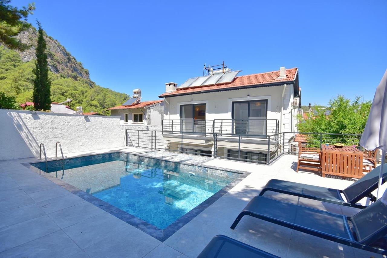 Citrus Villa