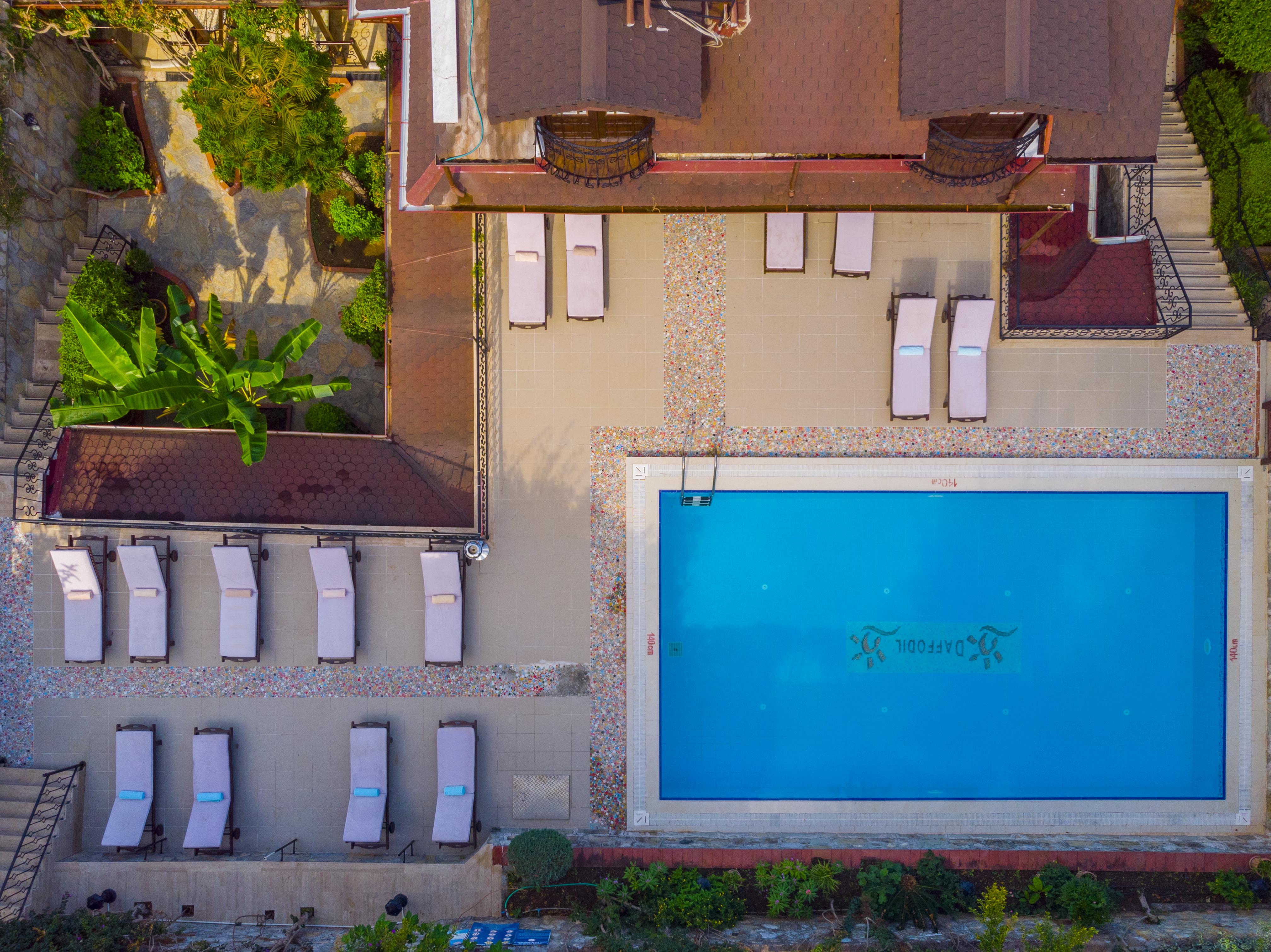 Otel Daffodil 3*