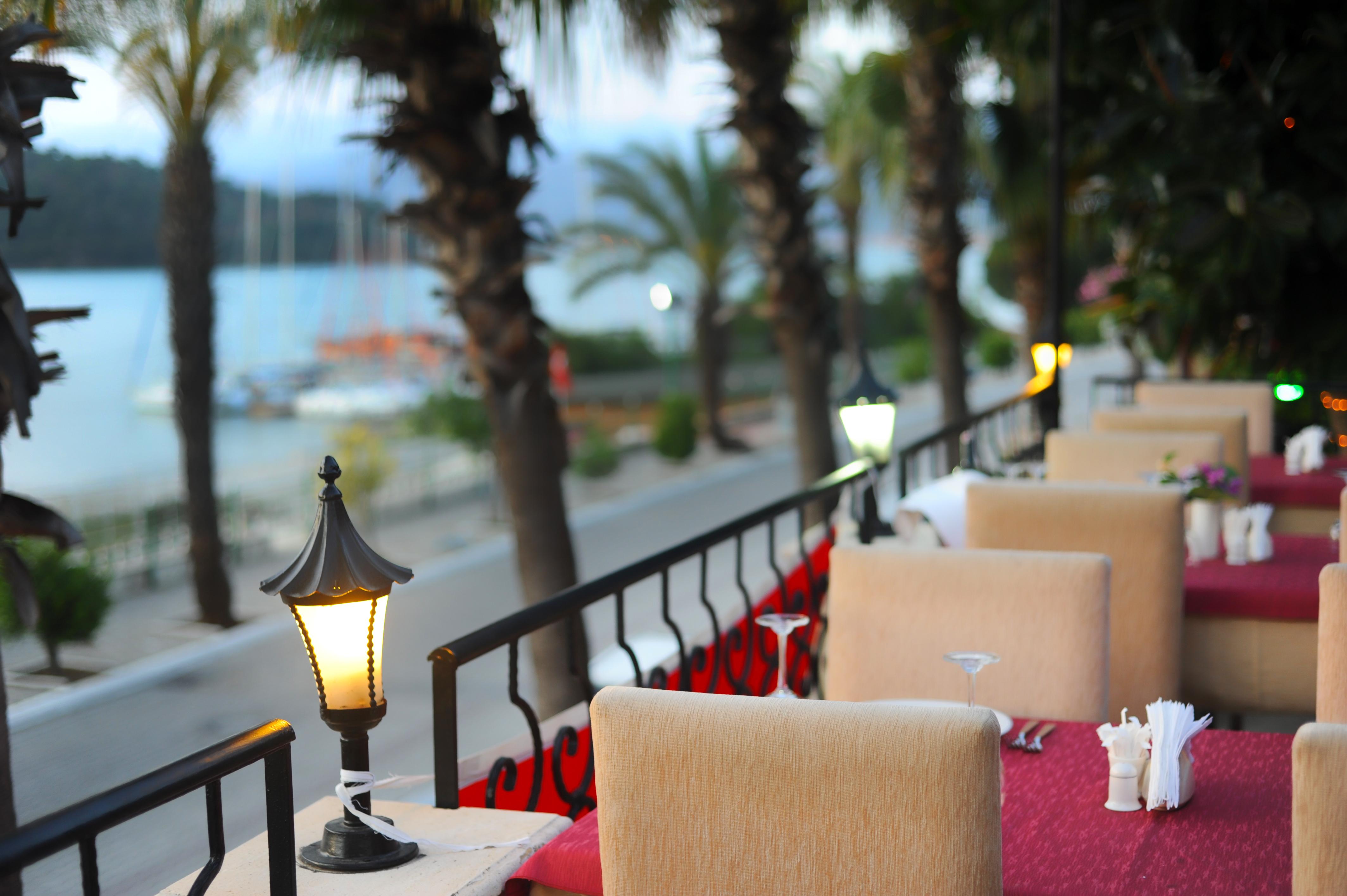 Daffodil Fethiye