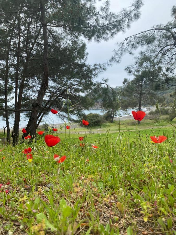 Frühstückspension Inlice Uenzile Inlice Kamp Fethiye