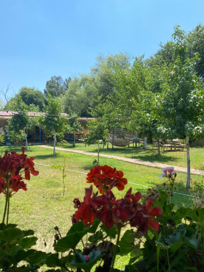 Frühstückspension Inlice Uenzile Inlice Kamp Fethiye
