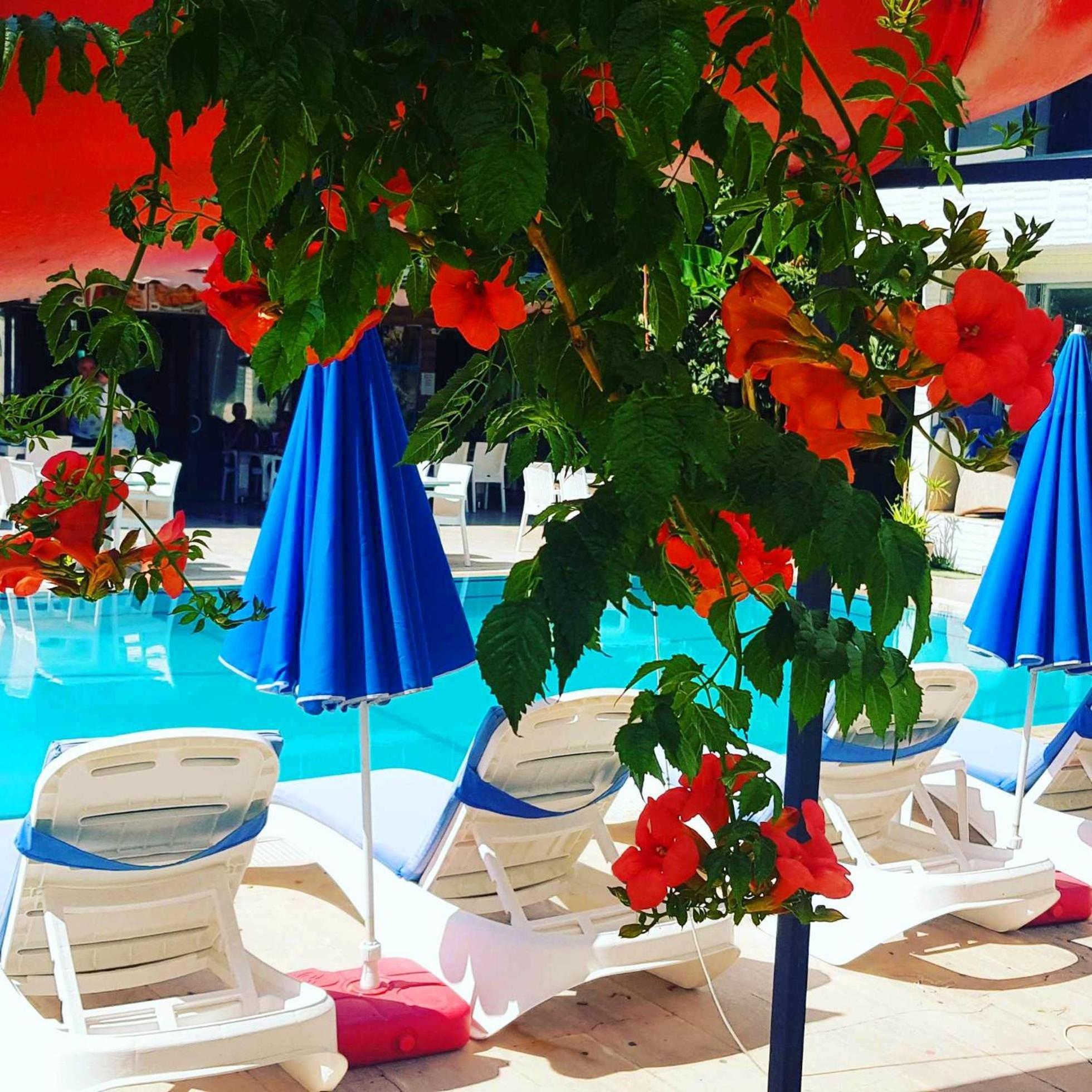 Hotel Alis Hotel Fethiye