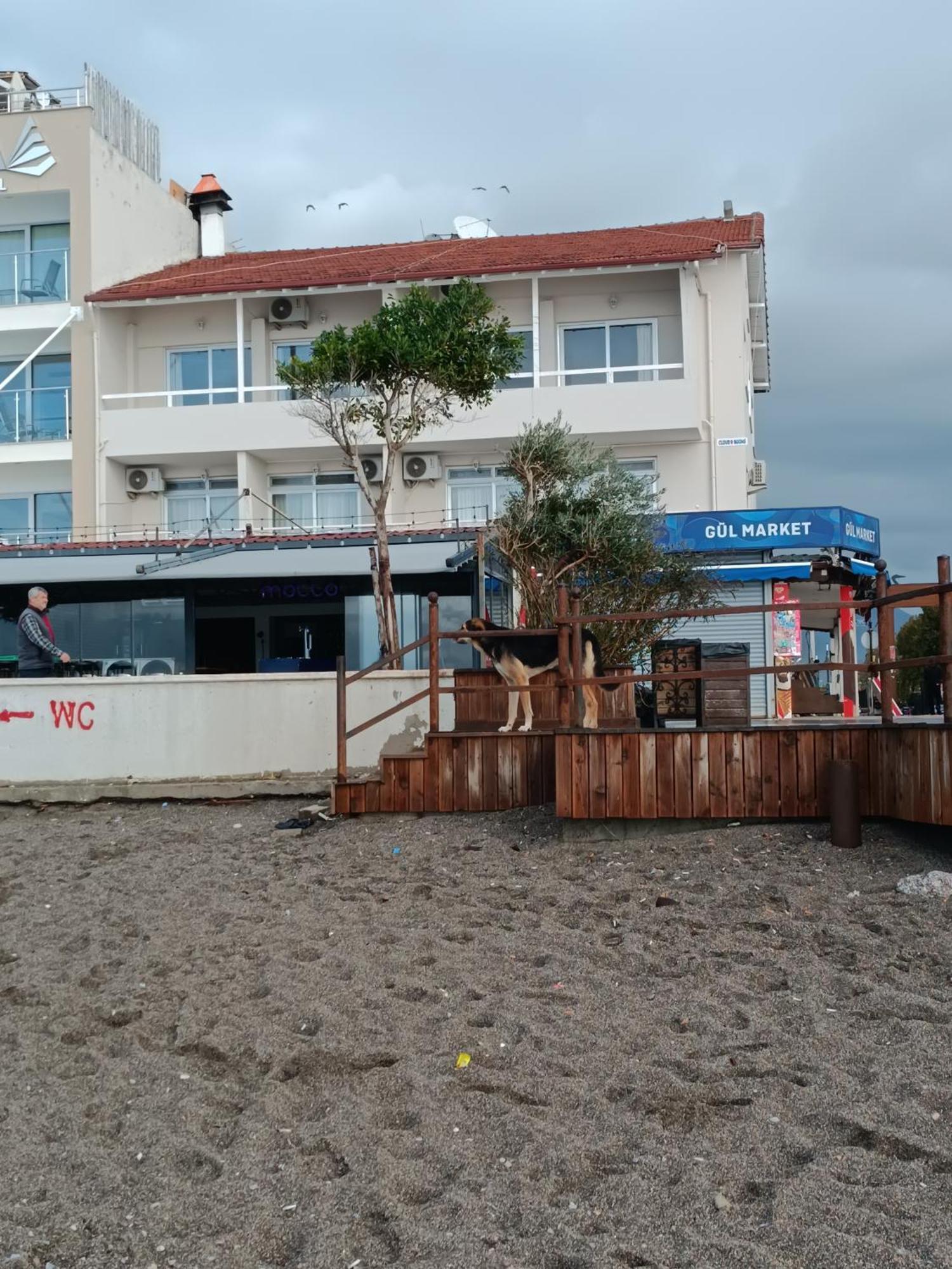 Accommodatie bij particulieren Cloud9 *