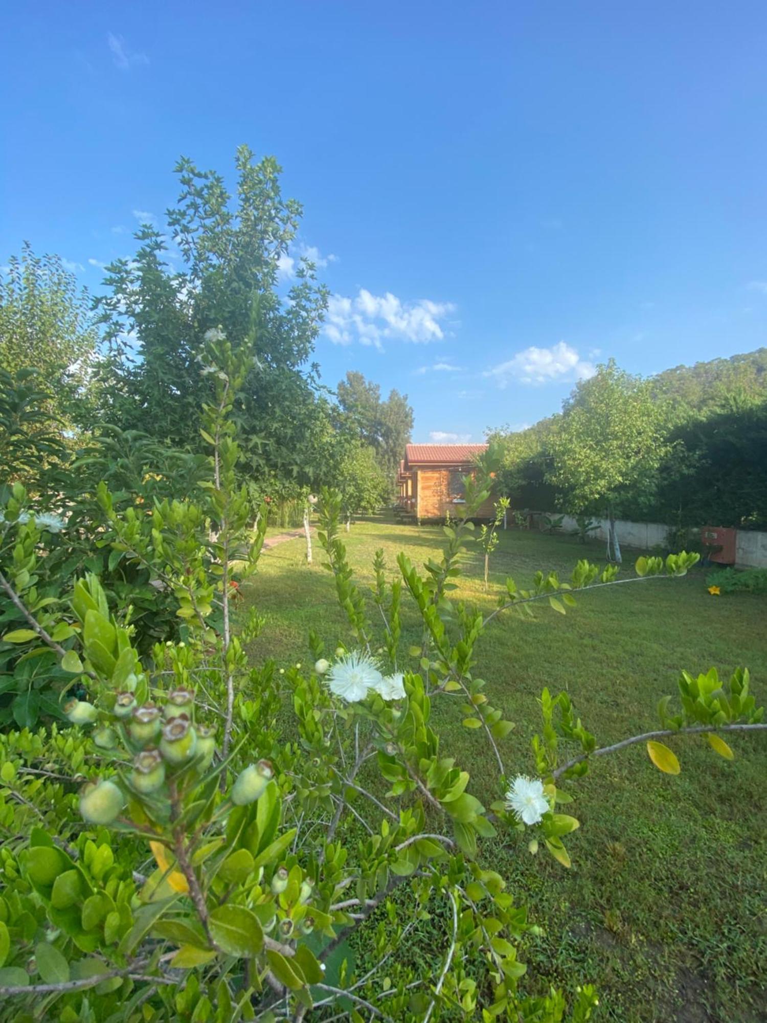 Inlice Uenzile Inlice Kamp Frühstückspension Fethiye