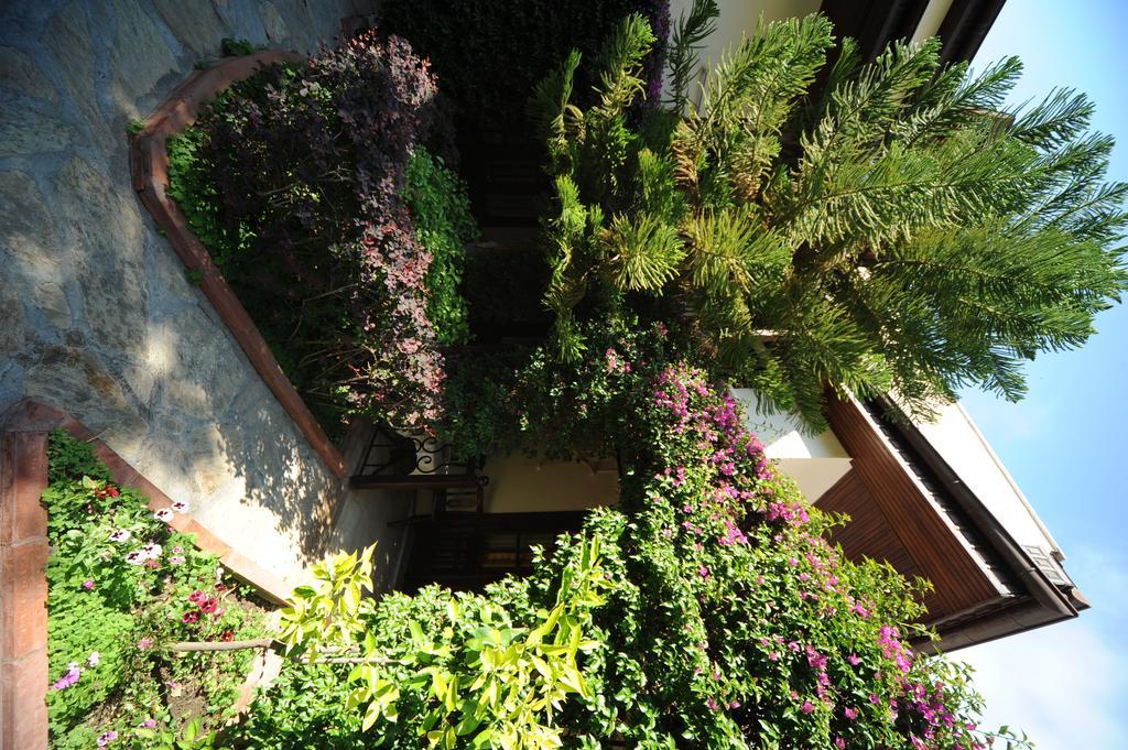 Daffodil 3* Fethiye