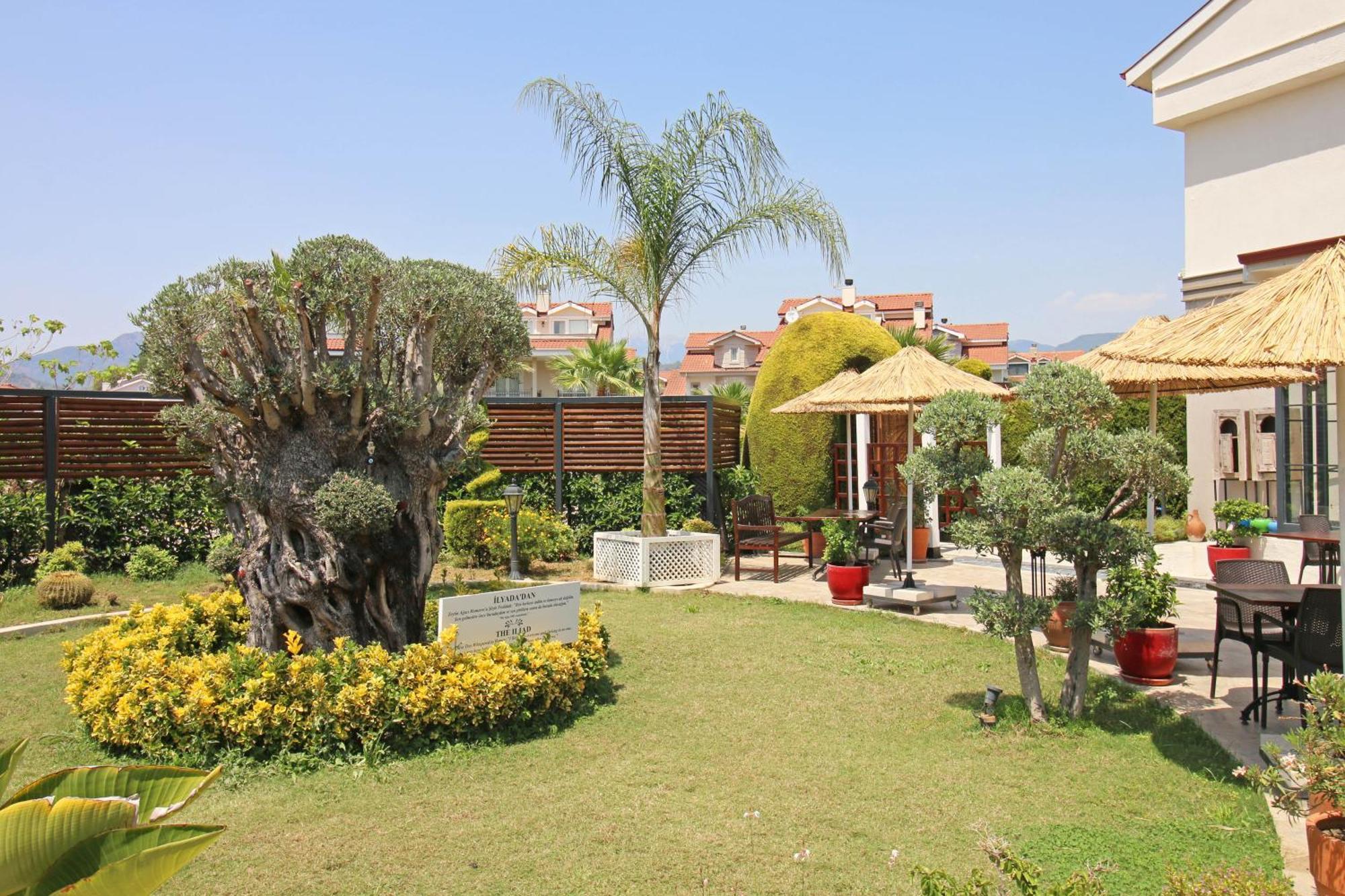 Arwen Fethiye