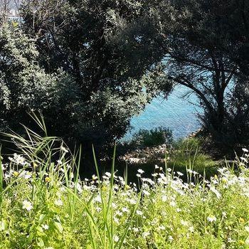 Hotel Sovalye Fethiye