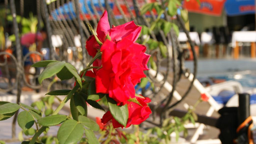 Otel Nazar Garden Fethiye
