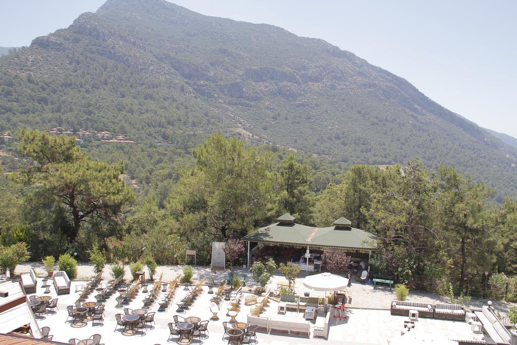 Otel Nicholas Park 4*