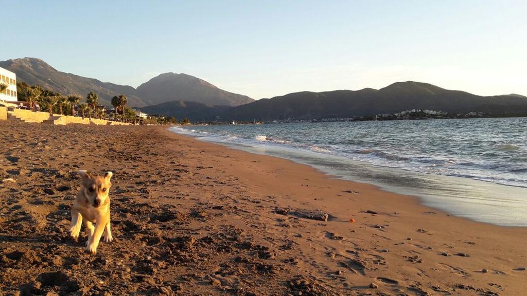 Otel Hera Beach Hotel Gcr