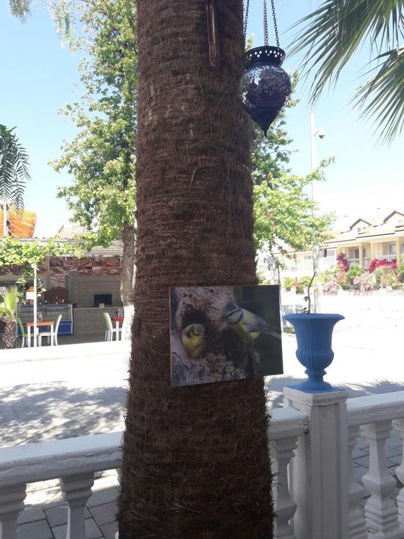 Otel Hera Beach Hotel Gcr *