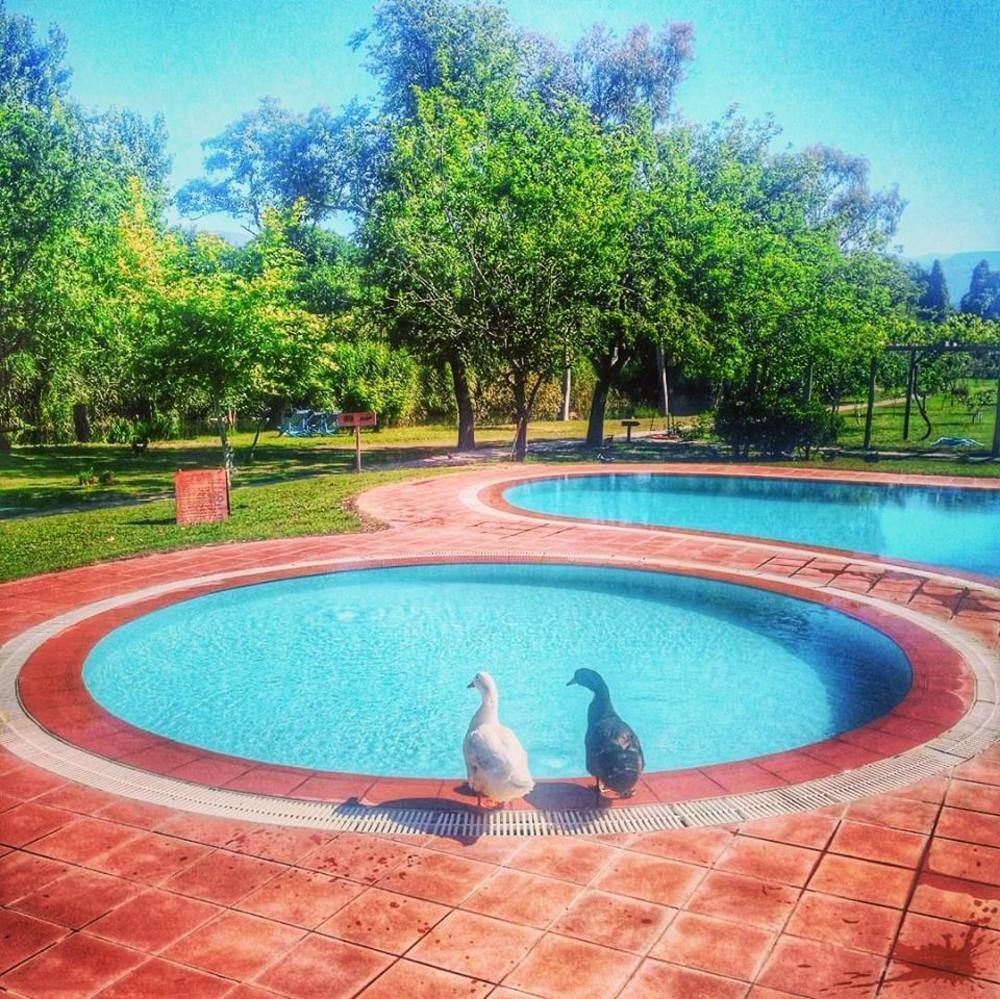 Otel Yonca