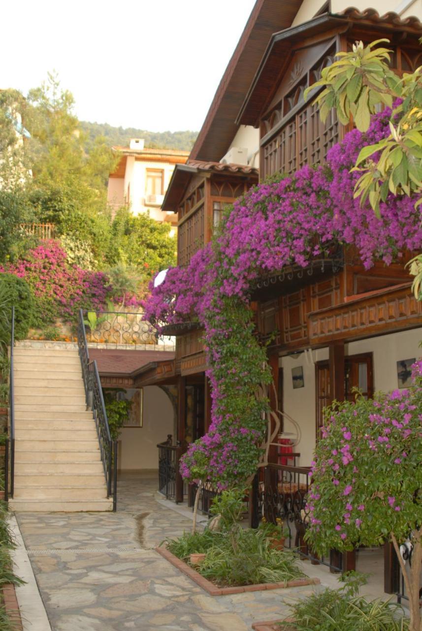 Daffodil Fethiye