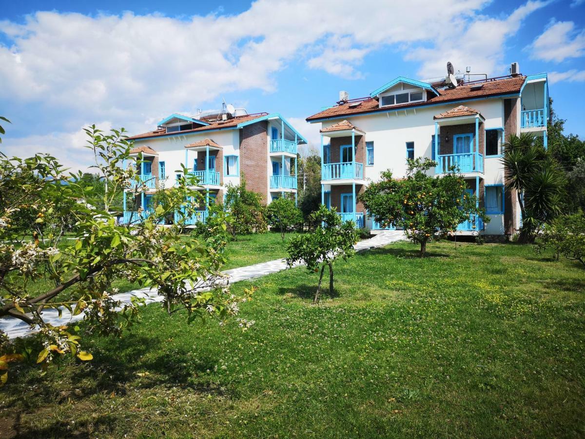 Yonca