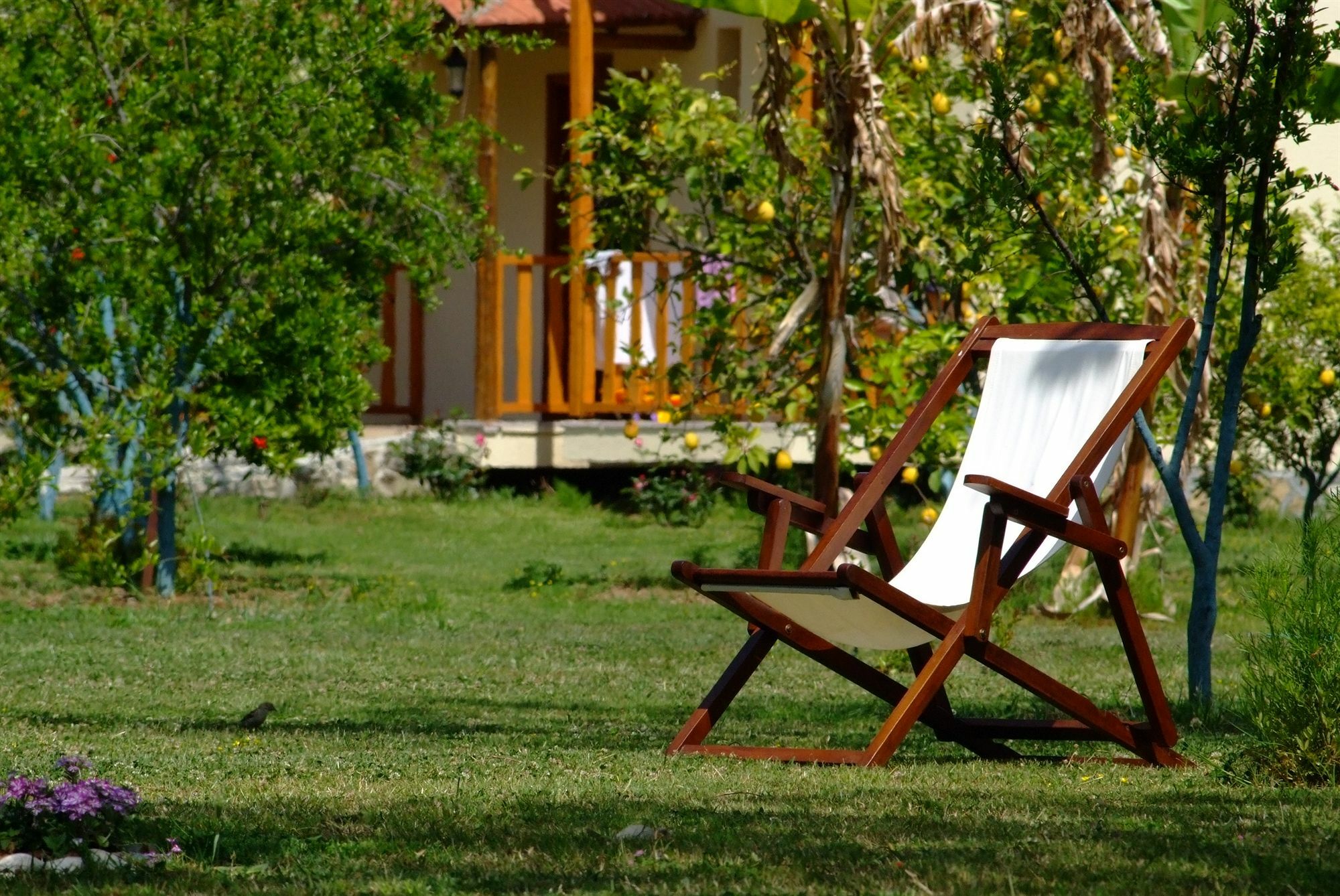 Yonca Otel 3*