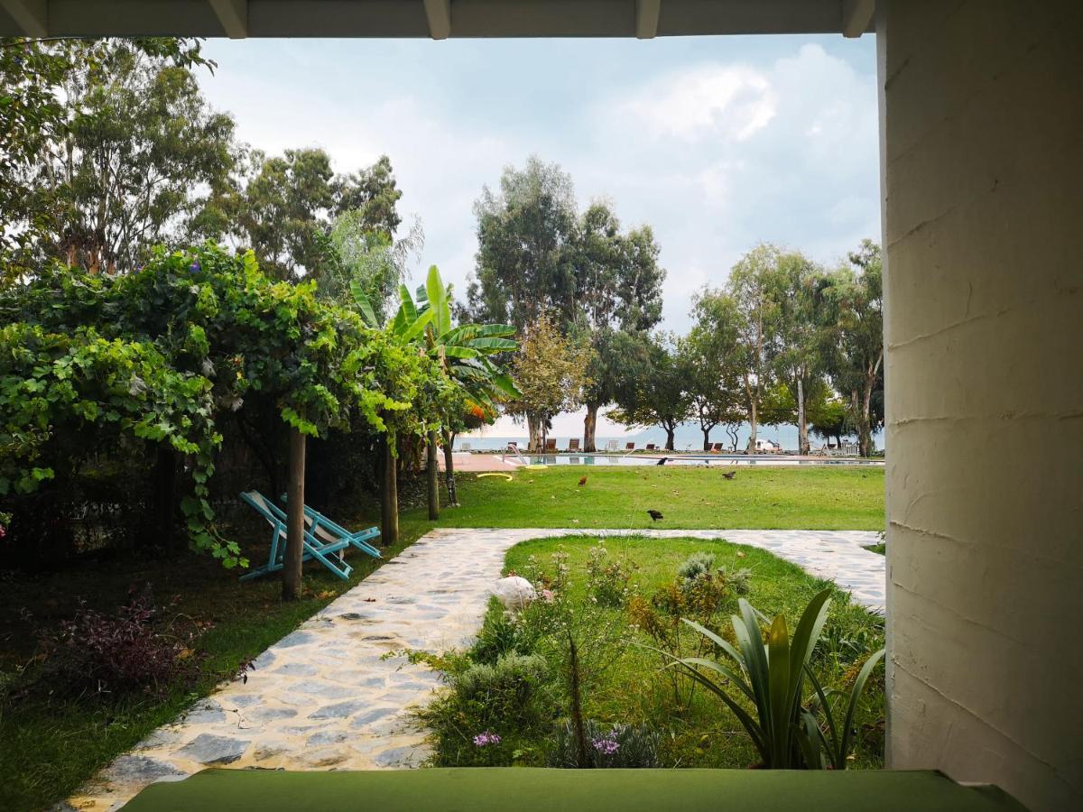 Yonca 3*