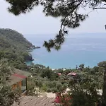 Tree Houses Hotel