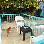 Enjoy Hotel