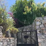 Villa Ruya