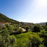 The Tulip Teras Houses