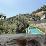Stone House With Pool Among Olive Trees In Kabak