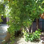 Erciyes Apart Hotel