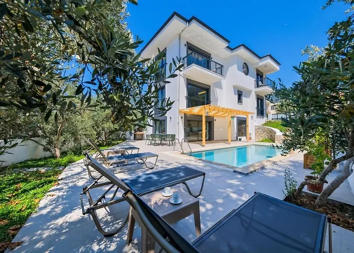Arici Evi Delux Luxury Villa With Indoor And Outdoor Pool