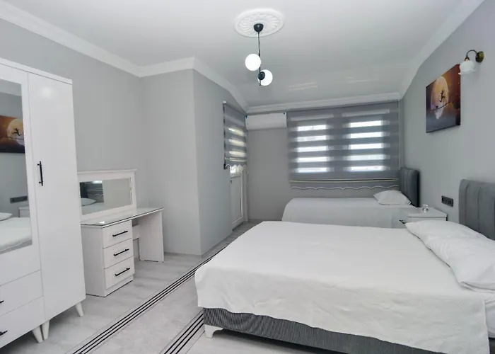 Tetra Clover Suites