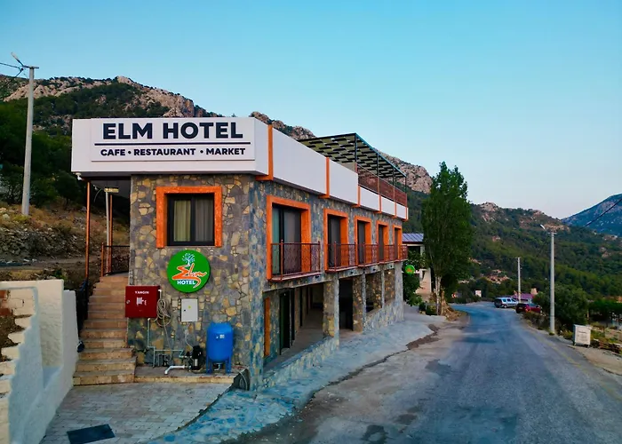 Elm Hotel