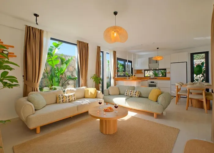 Villa Lemonya