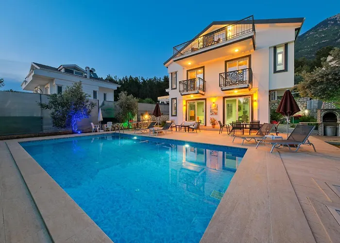 Luxury Villa Forest With Private Pool - Ovacik