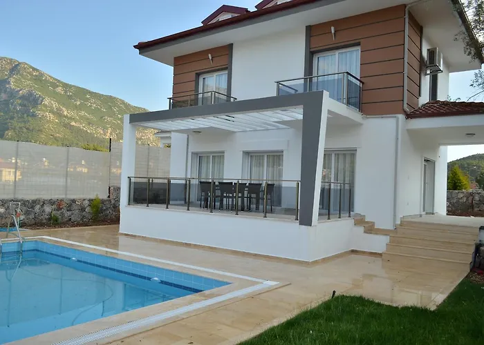 New Age Villa Lilya Hisar