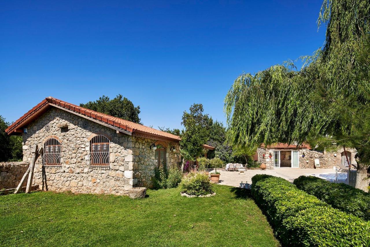 Ada Dreams / Village Villa *