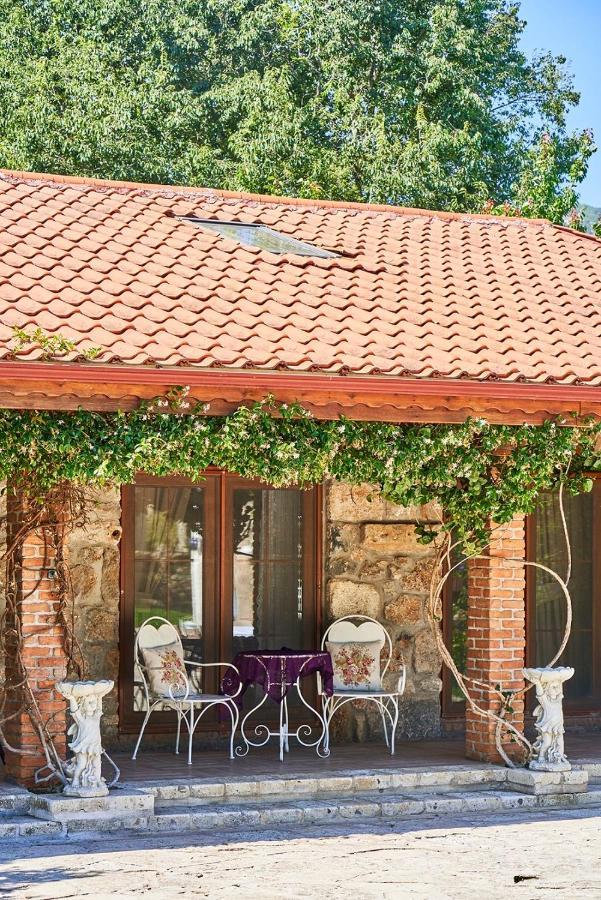 Villa Ada Dreams / Village *