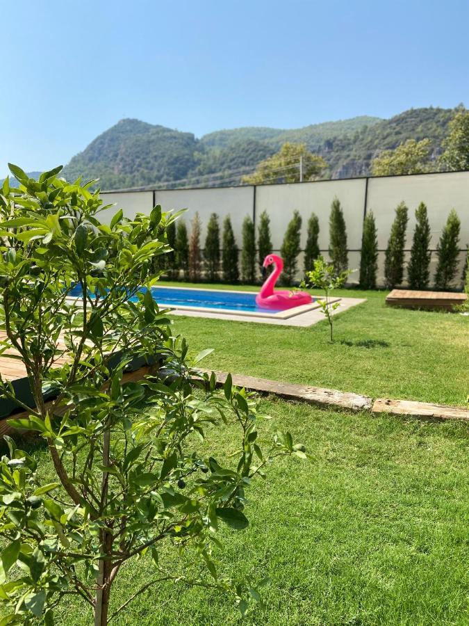 Villa Daedalavilla *
