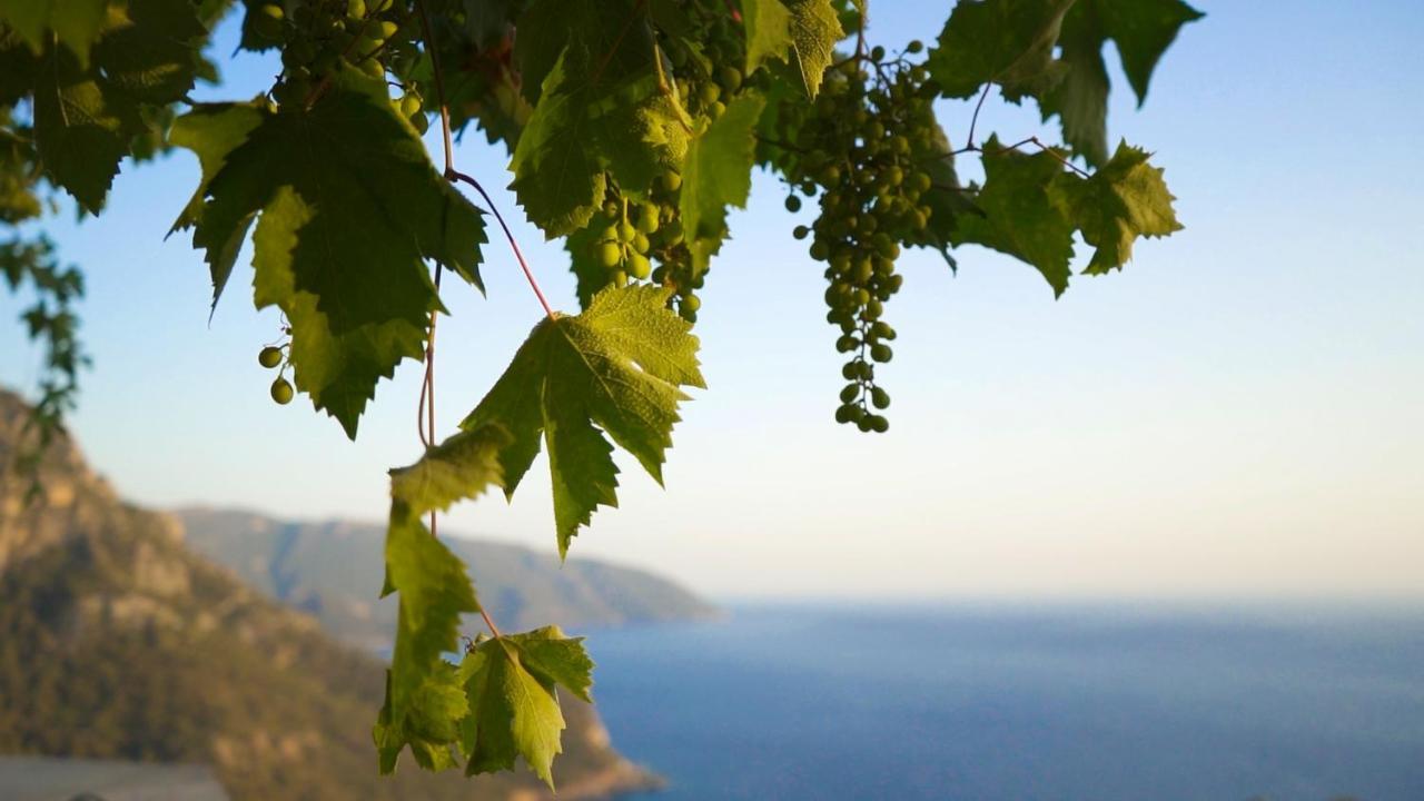 Hotel Kabak Mamma's Restaurant & Terrace Bar Fethiye