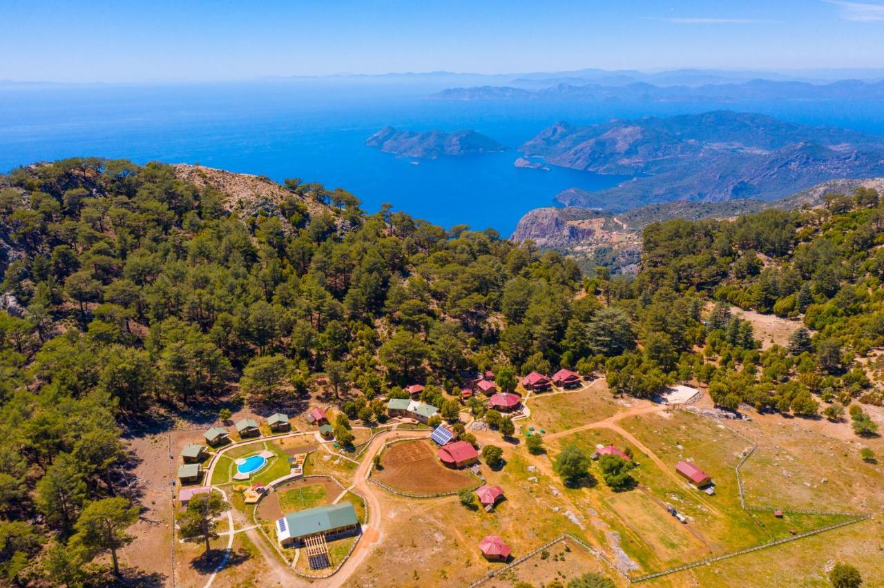 Babakamp Eco Ranch & Retreat Campsite