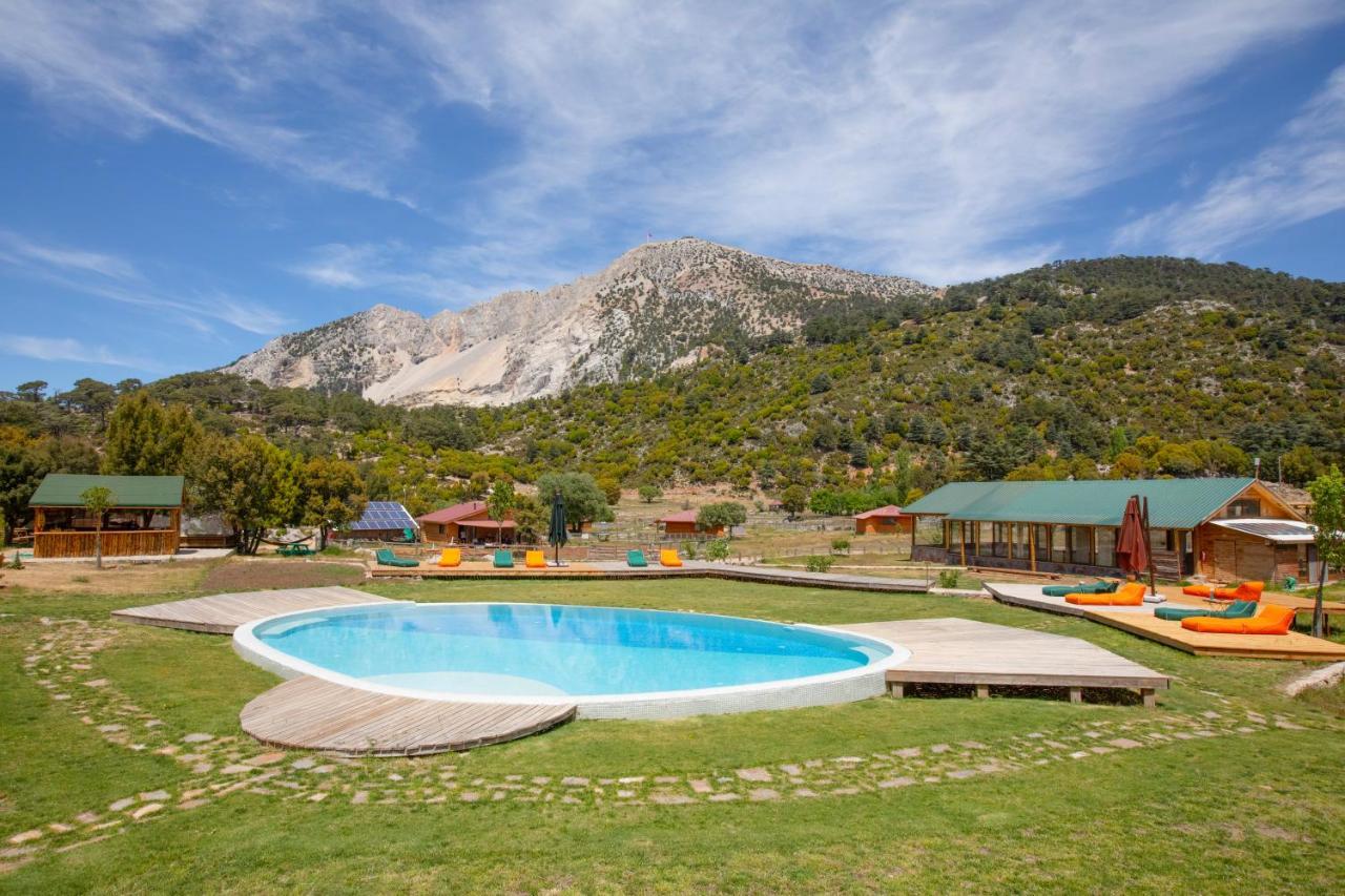 Babakamp Eco Ranch & Retreat Campsite *