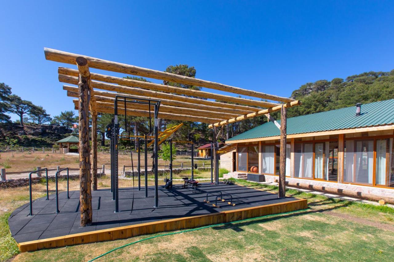 Campsite Babakamp Eco Ranch & Retreat