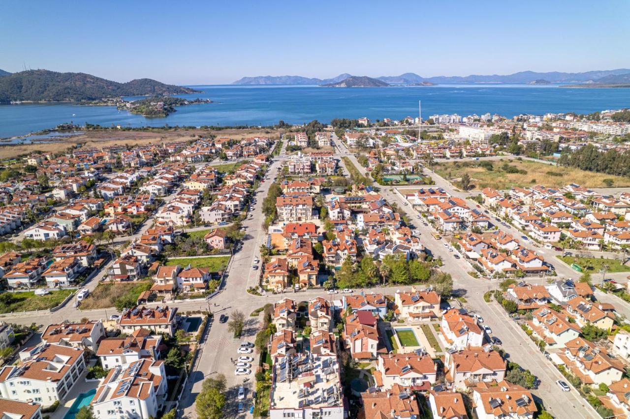 Gelincik * Fethiye