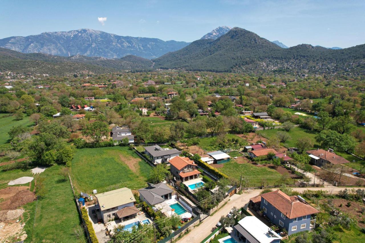 Villa Murphy *