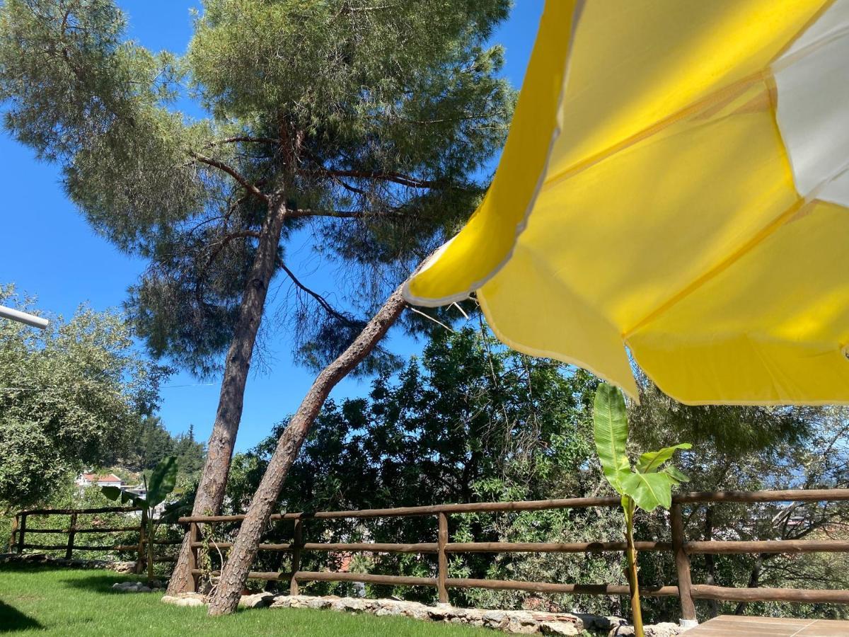 Kaktus Suites 1 Holiday home