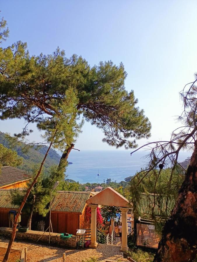 Tree Hotel