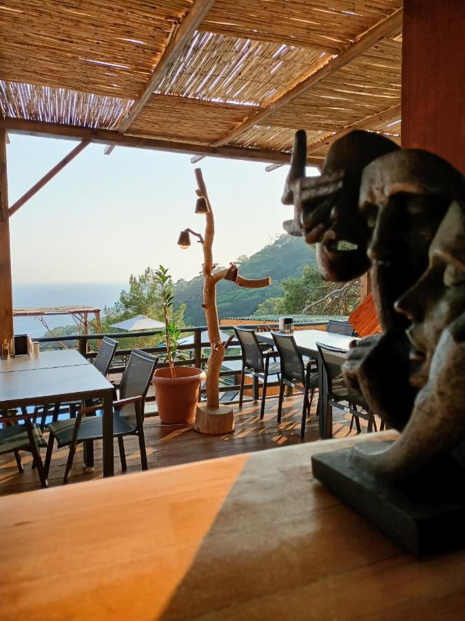 Hotel Tree Fethiye