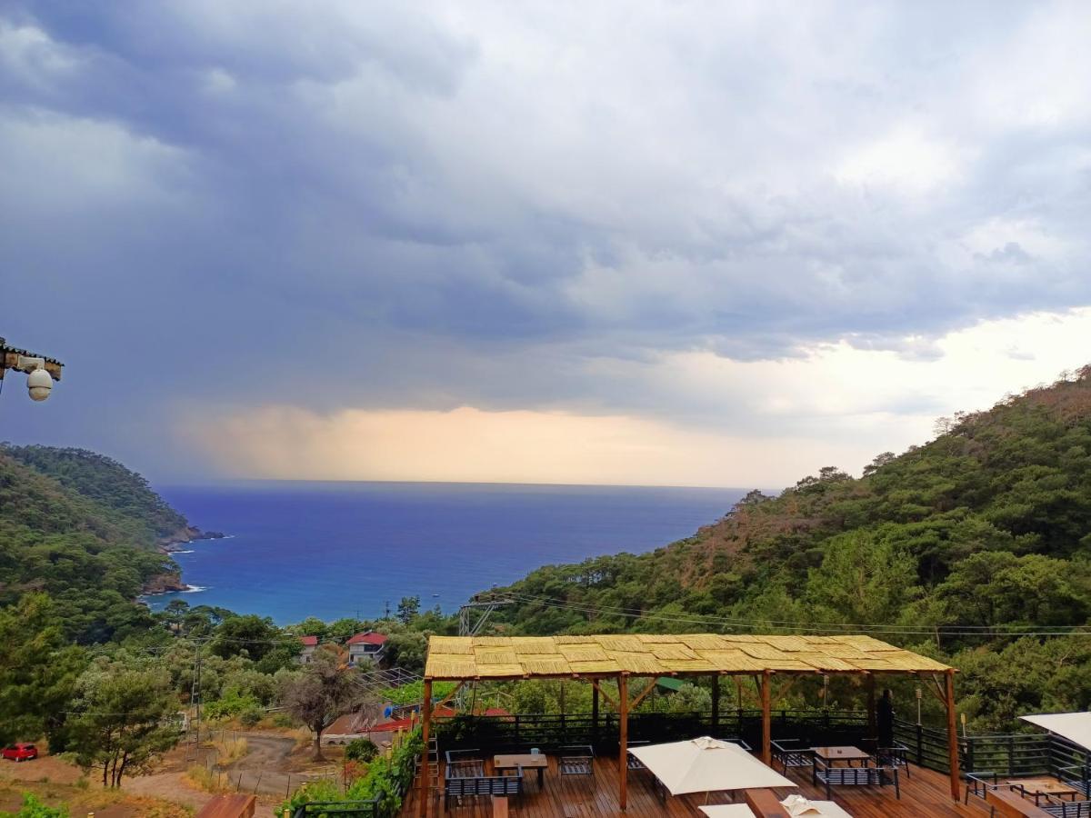 Tree Fethiye