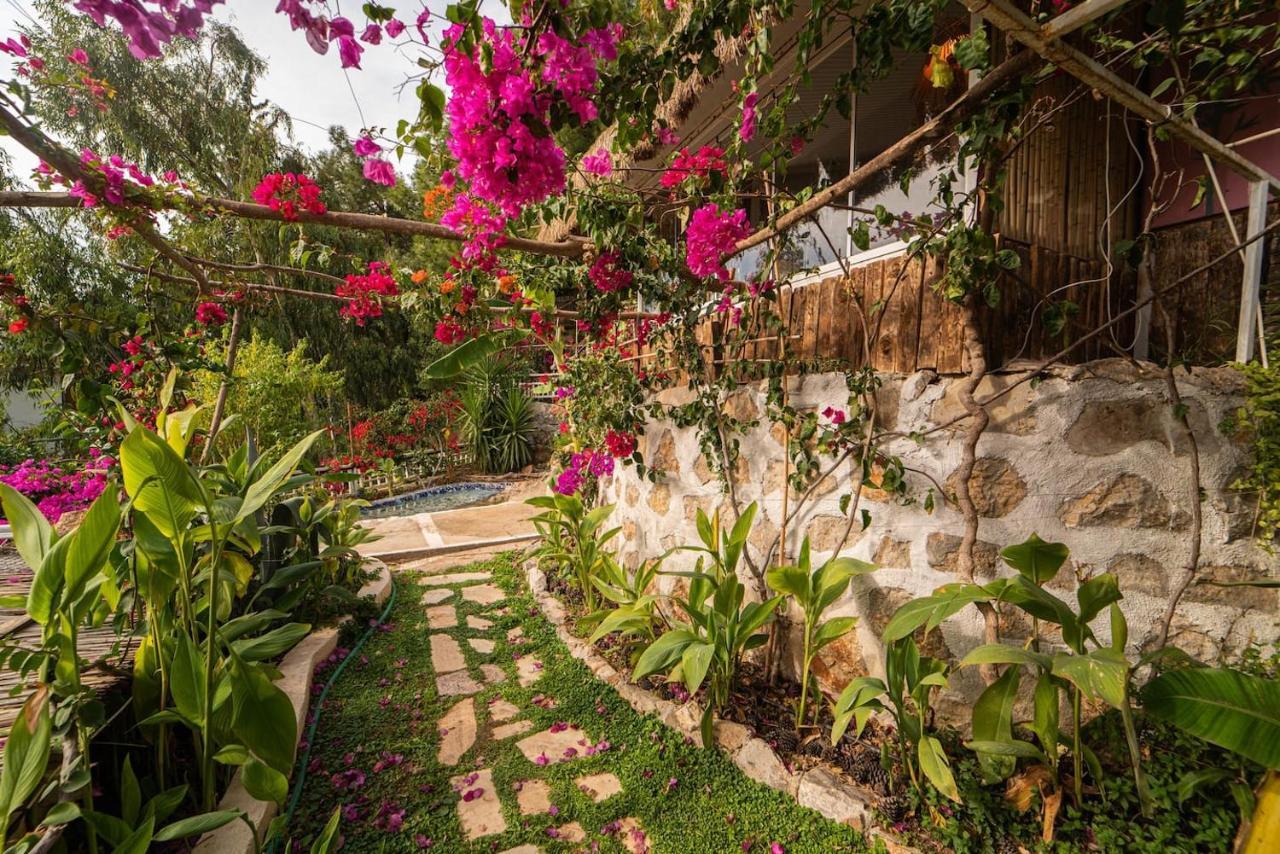 Aparthotel Begonvilla Bungalows