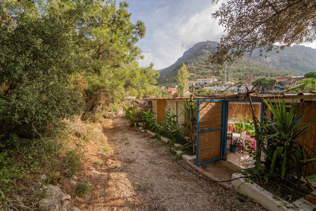 Aparthotel Begonvilla Bungalows *