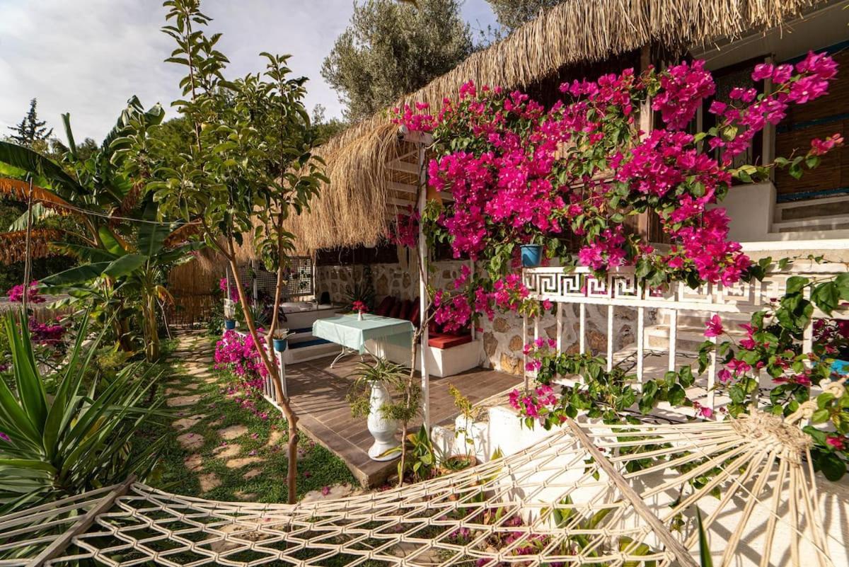 Begonvilla Bungalows