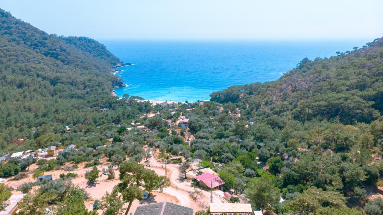 Tree Fethiye